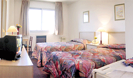 Hotel Tres Cruces
